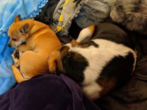 Arthur and Edie asleep on the couch.