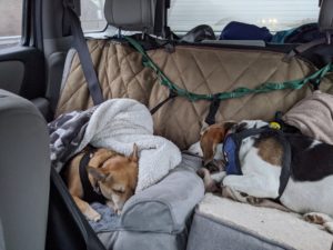 Arthur and Edie asleep on the back seat.