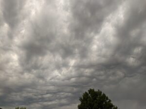 A gray, cloudy sky. The clouds are kind of fluffy, but flat.