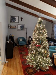 A shot into our living room. The Christmas tree is up and lit, covered in ornaments. Some art of screaming ladies hangs on the wall.