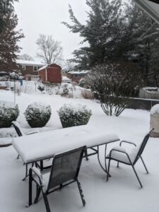 Our backyard, covered in about 6 inches of snow. There are bushes and a tall burning bush in, a shed in the neighbor's yard. In the foreground is a table covered in snow.