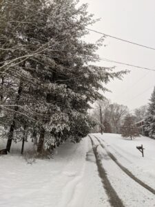 A snowy road with one set of tire tracks down the middle. Pine trees are to the left of the road.