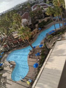 Looking down from my balcony at the hotel pool. It's irregular shaped with palm trees around it. The outdoor bar where we all met the first night is also visible.