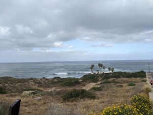 A rocky/sandy/scrub brush shoreline overlooking the Pacific Ocean. Palm trees are near the edge before it drops off into the water.