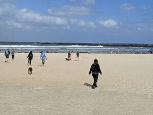 A beach full of sand and dogs with their humans. The Pacific ocean is in the background, a blue sky with some clouds.