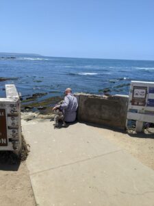 A man sitting with his medium gray scruffy dog overlooking the Pacific Ocean. We are on an overlook made of stone. 