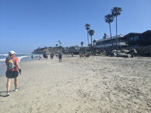 Walking down a beach. An Athena is to the right in the photo. There are dogs ahead as well. Houses and palm trees to the right. Blue sky.