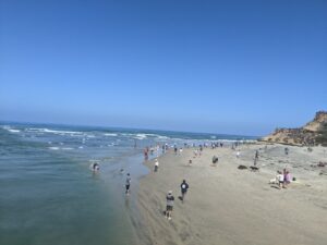 Del Mar Dog Beach. The Pacific Ocean is to the right and out - it's like a bay - and the dog beach is to the left. There are people with their dogs on the beach and in the water. Blue sky.