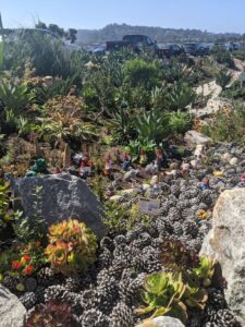 A pond with an eclectic mix of decorations put into it. It's very small and surrounded by native plants. There are gnomes and lobsters and all sorts of plastic things all around it. Very coloful. Mountains and blue sky in the background.