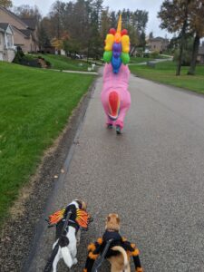 Edie is dressed as a butterfly, Arthur as a spider. Gabe is wearing a giant pink unicorn suit and we are all on a walk together. We can see his rainbow tail and mane. 