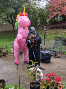 Gabe dressed as a giant pink unicorn, I'm dressed as a ghoul. I'm holding Arthur dressed as a spider. Edie is dressed as a monarch butterfly.