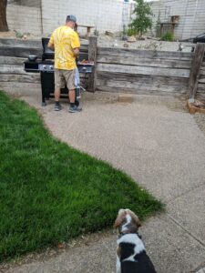 Gabe standing at his new grill, grilling brats and peppers. Edie is in the foreground looking at him longingly. Well, probably the meat.