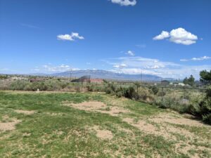 My sister's view from the back of the property. Full view of the Sandia Mountains in the distance, huge blue sky with some cute white clouds here and there.