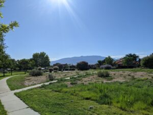 At a park near our house looking east at the Sandia Mountains. Perfect blue sky, the sun is shining up above.