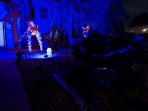 Full Halloween setup. Blacklight in the coffin in the foreground, Pumpkin Man in the background surrounded by headstones and jack-o-lanterns. Blacklights, scary skeletons floating on the house. We have fun.