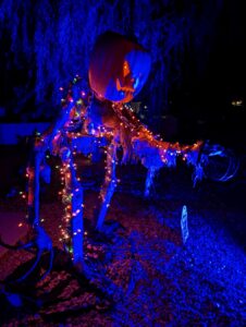 Pumpkin Man by night. All lit up with blacklights and orange and purple and green small lights. Mostly orange. Ready to roll!