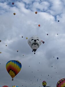 A white doggy balloon at the Albuquerque balloon fiesta. It looks like a doggy that Lucy had lost recently that she loved very much.